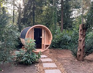 Guest house 290137 - Holiday property Achterhoek - Vakantiehuisje in Winterswijk