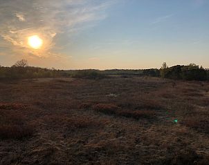 Guest house 290140 - Holiday property Achterhoek - Vakantiehuis Gerumiges Ferienhaus mitten im Wald