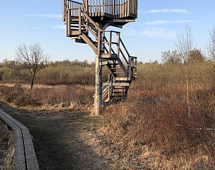 Guest house 290140 - Holiday property Achterhoek - Vakantiehuis Gerumiges Ferienhaus mitten im Wald