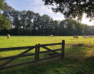 Guest house 290140 - Holiday property Achterhoek - Vakantiehuis Gerumiges Ferienhaus mitten im Wald