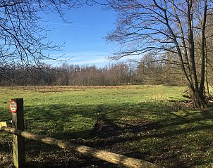 Guest house 290140 - Holiday property Achterhoek - Vakantiehuis Gerumiges Ferienhaus mitten im Wald