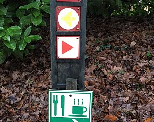 Guest house 290140 - Holiday property Achterhoek - Vakantiehuis Gerumiges Ferienhaus mitten im Wald