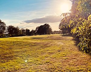 Schne Aussicht auf die natrliche Umgebung des Ferienhauses in Winterswijk, Achterhoek.