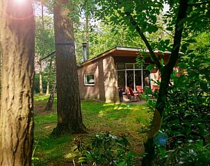 Guest house 290155 - Holiday property Achterhoek - Vakantiehuis in Winterswijk