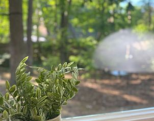 Guest house 290155 - Holiday property Achterhoek - Vakantiehuis in Winterswijk