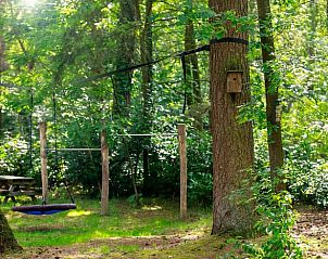 Guest house 290155 - Holiday property Achterhoek - Vakantiehuis in Winterswijk