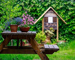 Guest house 290155 - Holiday property Achterhoek - Vakantiehuis in Winterswijk