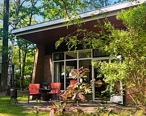 Guest house 290155 - Holiday property Achterhoek - Vakantiehuis in Winterswijk