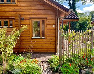 Wooden vacation home with garden in Winterswijk, ideal for nature lovers in Achterhoek, Gelderland.