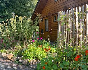 Floral garden at Holiday home in Winterswijk, perfect for a peaceful vacation in Achterhoek, Gelderland.