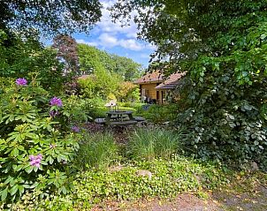 Natural surroundings of Holiday home in Winterswijk, perfect for walks in Achterhoek, Gelderland.