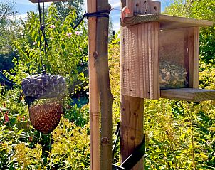 Bird feeding spot in the garden of Holiday home in Winterswijk, attraction for nature lovers in Achterhoek, Gelderland.