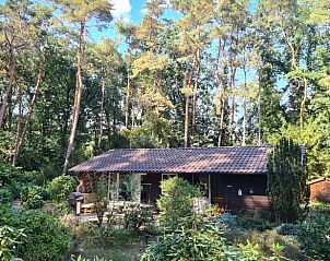 Gemtliches Ferienhaus Cottage in Winterswijk, umgeben von Natur in Achterhoek, Gelderland.