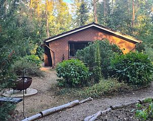 Rckansicht des Ferienhauses in Winterswijk mit Gartenweg, Ferienhaus in der Achterhoek, Gelderland.