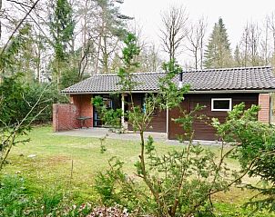 Vakantiehuisje in Winterswijk omringd door groene natuur, gelegen in de rustieke Achterhoek, Gelderland. Ideaal voor een ontspannen verblijf.