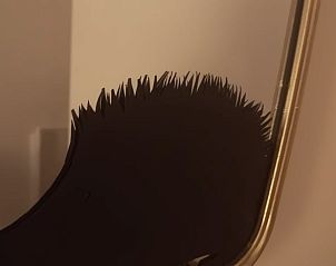 Verblijf 290163 - Vakantiewoning Achterhoek - Vakantiehuisje in Winterswijk