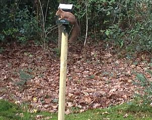 Verblijf 290163 - Vakantiewoning Achterhoek - Vakantiehuisje in Winterswijk