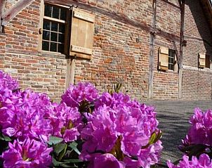 Bloeiende tuin bij Vakantiehuis in Winterswijk, Achterhoek, Gelderland.