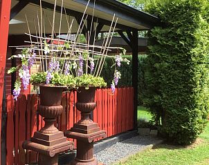 Flowering plants at Holiday home in Winterswijk, Achterhoek, surrounded by green nature and tranquility.