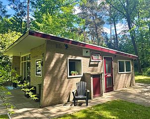 Vakantiehuisje in Winterswijk, gelegen in de groene bossen van de Achterhoek, biedt een charmant terras voor ontspanning.