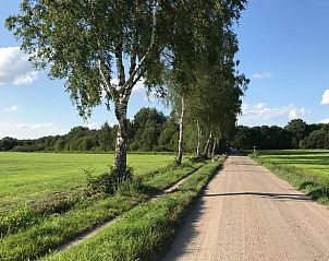 Rural road surrounded by trees near Holiday home in Winterswijk, Achterhoek, perfect for hiking.