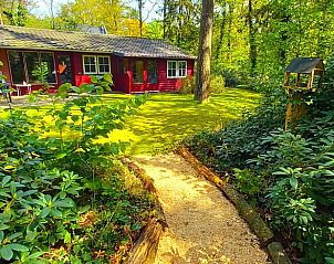 Vakantiehuisje in Winterswijk omgeven door groene natuur, ideaal voor een ontspannen verblijf in de Achterhoek, Gelderland.