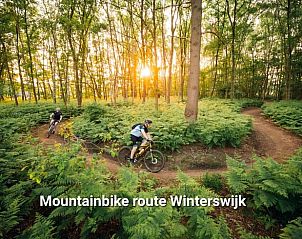 Verblijf 290182 - Vakantiewoning Achterhoek - Vakantiehuisje in Winterswijk