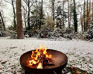 Verblijf 290182 - Vakantiewoning Achterhoek - Vakantiehuisje in Winterswijk
