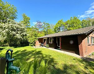 Vakantiehuisje in Winterswijk, een charmant vakantiehuis gelegen in de groene natuur van de Achterhoek, Gelderland, met zonnige tuin.