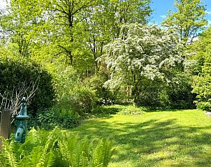 Groene tuin van Vakantiehuisje in Winterswijk, gelegen in de prachtige natuur van de Achterhoek, Gelderland.