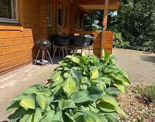 Geniet van de veranda van Vakantiehuis in Winterswijk, gelegen in de groene omgeving van de Achterhoek, Gelderland.