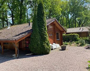 Charmant vakantiehuis in Winterswijk, Achterhoek, gelegen in een bosrijke omgeving met terras en groene natuur in Gelderland.