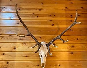 Verblijf 290189 - Vakantiewoning Achterhoek - Vakantiehuis in Winterswijk