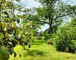 Guest house 290190 - Holiday property Achterhoek - Huisje in Winterswijk