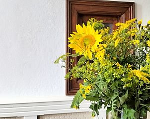 Guest house 290190 - Holiday property Achterhoek - Huisje in Winterswijk