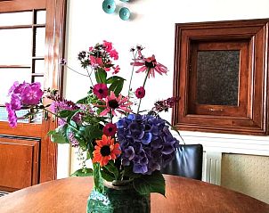 Guest house 290190 - Holiday property Achterhoek - Huisje in Winterswijk