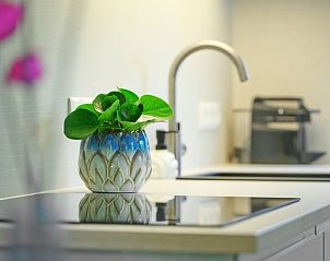 Detail van keukenblad in Vakantiehuis in Winterswijk, Achterhoek, Gelderland.