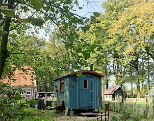Charmant vakantiehuisje in Winterswijk omringd door natuur in de Achterhoek, Gelderland.