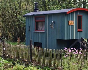 Pittoresk vakantiehuisje in Winterswijk, omringd door bloemen en natuur in de Achterhoek.