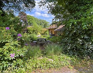 Guest house 290199 - Holiday property Achterhoek - DG1836