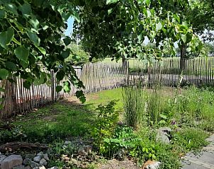 Groene omgeving van Vakantiehuisje in Barchem, Achterhoek, Gelderland, ideaal voor natuurliefhebbers.