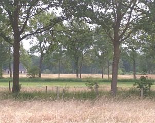 Uitzicht op het landschap rondom Vakantiehuisje in Barchem, Achterhoek, Gelderland, met weidse velden.