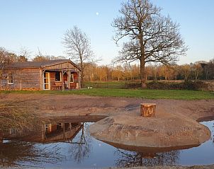 Natuurrijk uitzicht bij Huisje in Barchem, vakantieaccommodatie in Achterhoek, Gelderland.