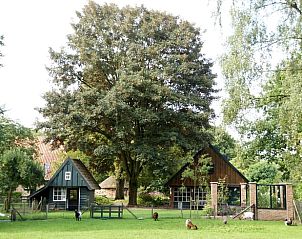 Huisje in Barchem, landelijke omgeving met dieren in Achterhoek, Gelderland.