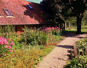 Bloemrijke tuin bij Huisje in Barchem, vakantiehuis in Achterhoek, Gelderland.