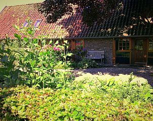 Zonnige tuin met bankje bij Huisje in Barchem, Achterhoek, Gelderland.