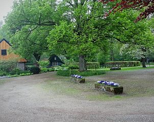 Groene omgeving rond Huisje in Barchem, vakantieverblijf Achterhoek, Gelderland.
