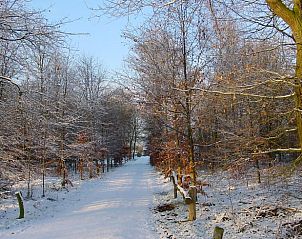 Winters landschap bij Huisje in Barchem, vakantiehuis Achterhoek, Gelderland.