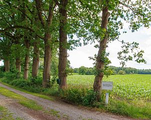 Landelijke oprijlaan naar Huisje in Barchem, vakantieverblijf in Achterhoek.