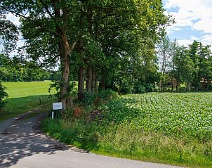 Groene omgeving bij Huisje in Barchem, vakantieaccommodatie in de Achterhoek.